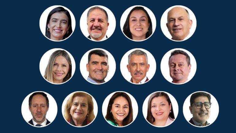 Diputados Electos Región del Biobío