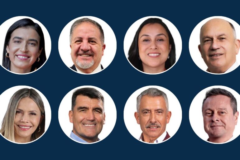 Diputados Electos Región del Biobío en los distritos 20