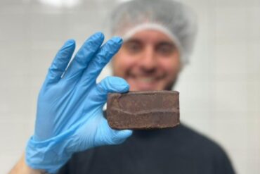 Barra de proteínas de insectos Chile