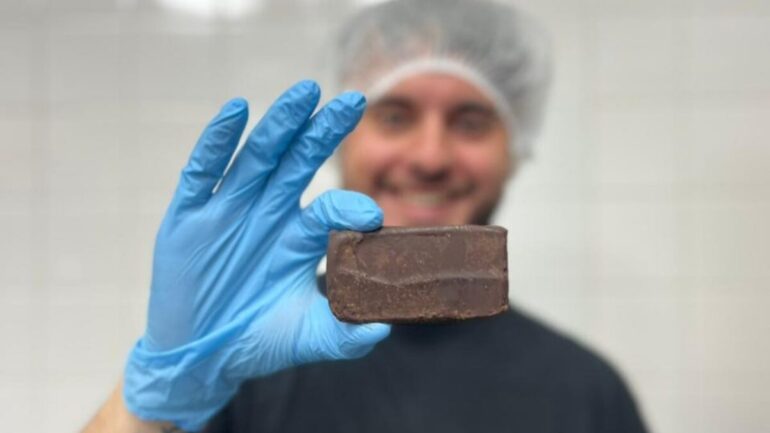 Barra de proteínas de insectos Chile