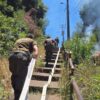 Carabineros incendio forestal