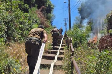 Carabineros incendio forestal