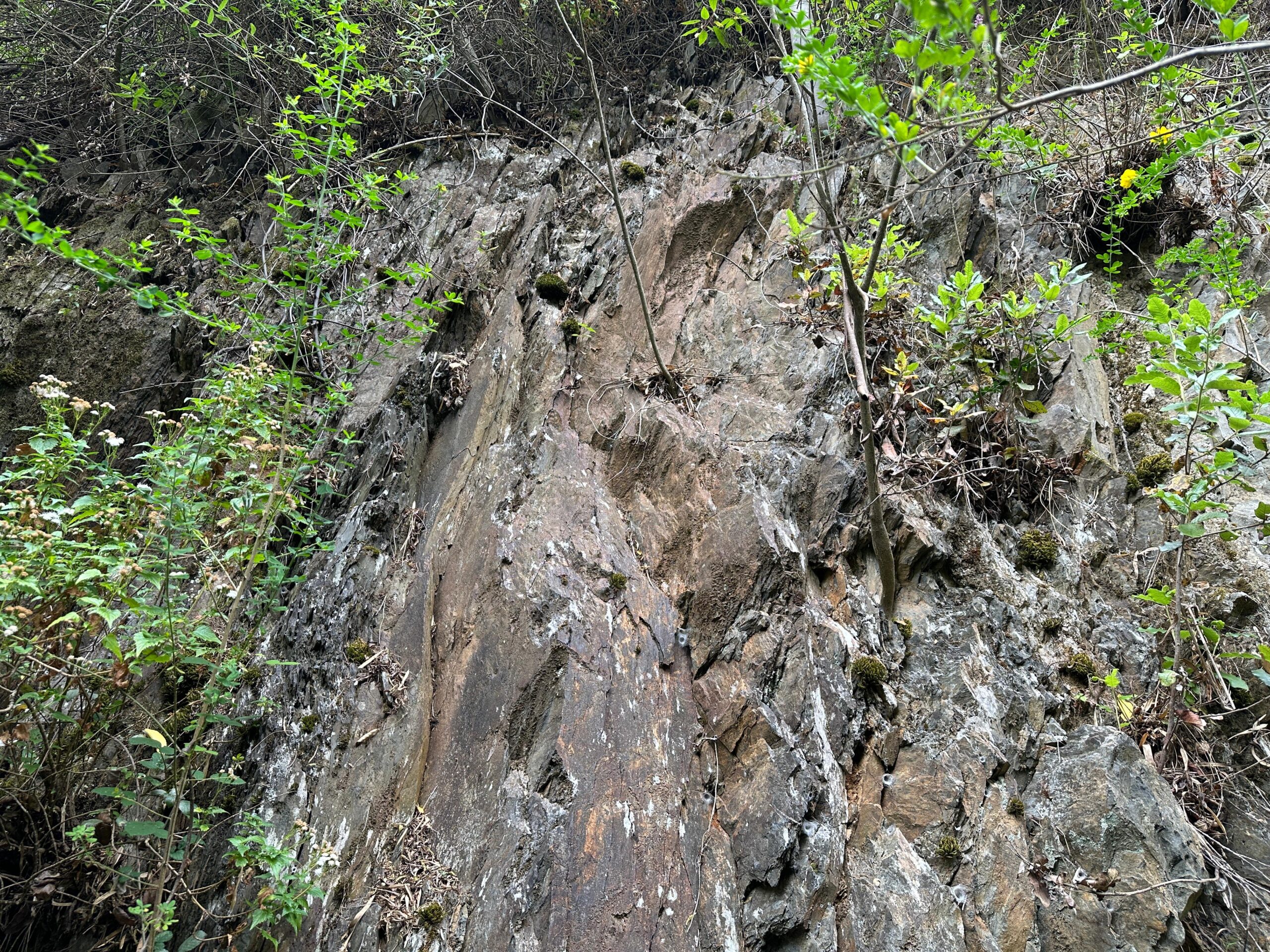 Sitios Quebrada Honda