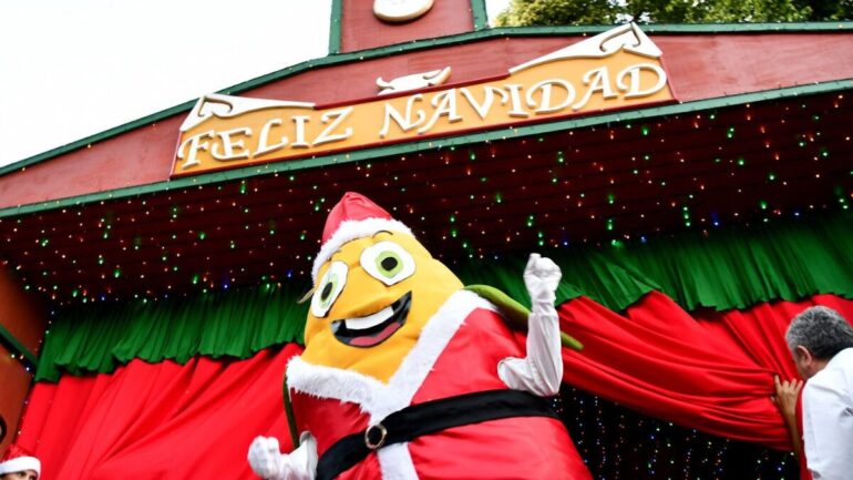 Choclín navidad Hualqui