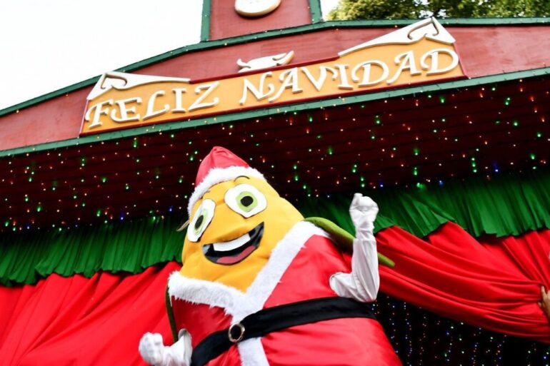 Choclín navidad Hualqui