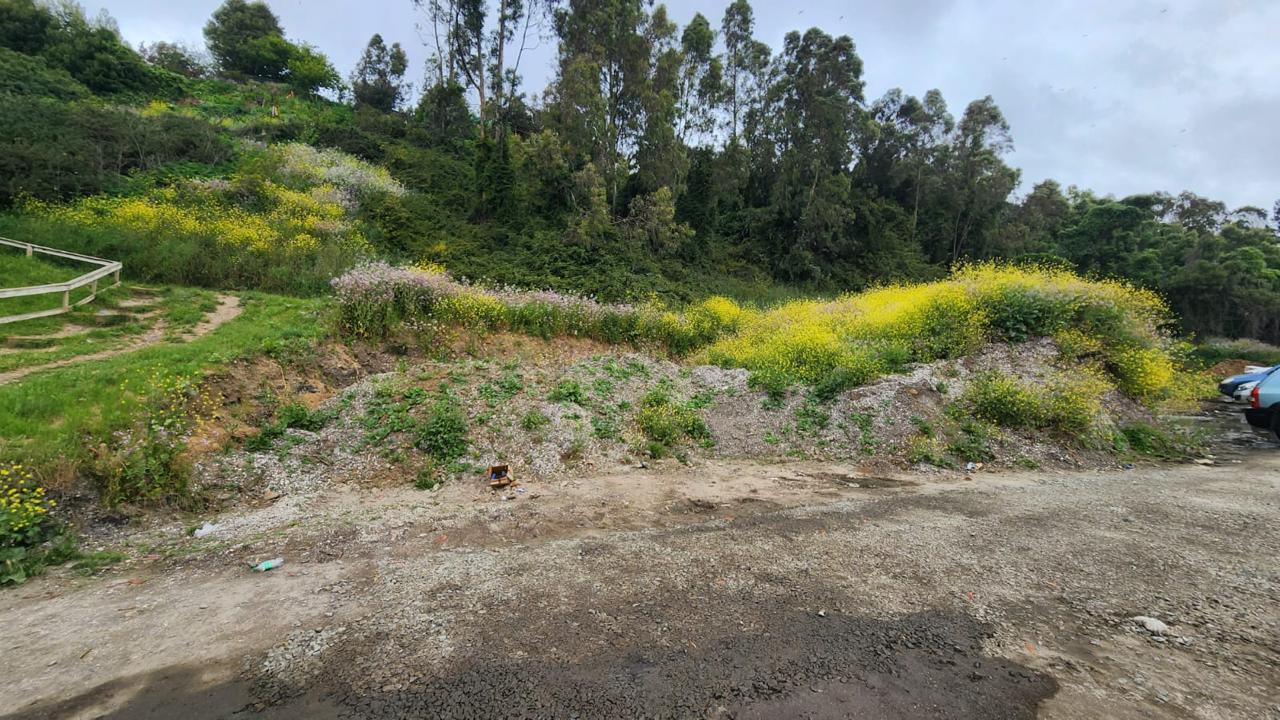 Sitios Playa Negra 1 