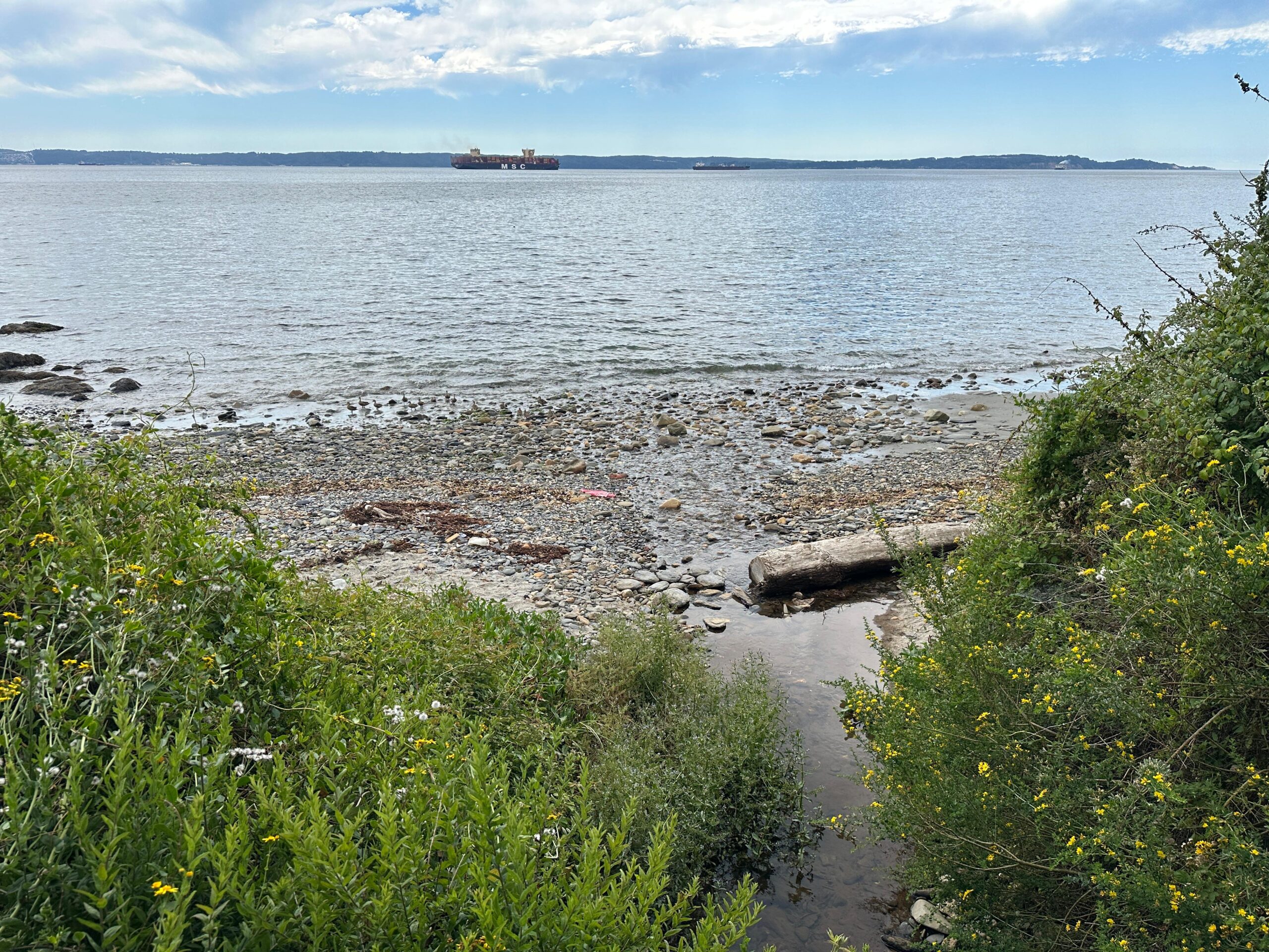 Sitios río Quebrada Honda