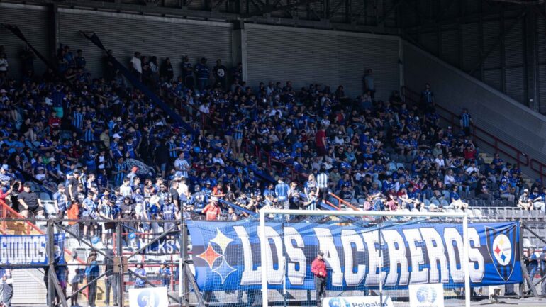 Hinchada Huachipato