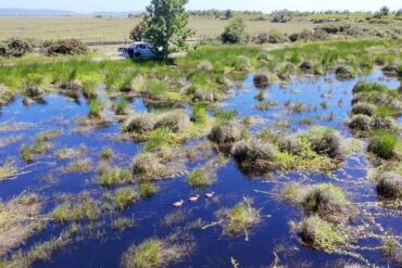 Humedal Playa Negra Penco