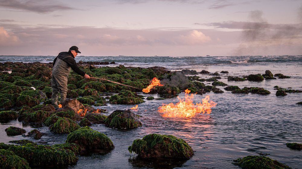 Islas del Biobío Mocha