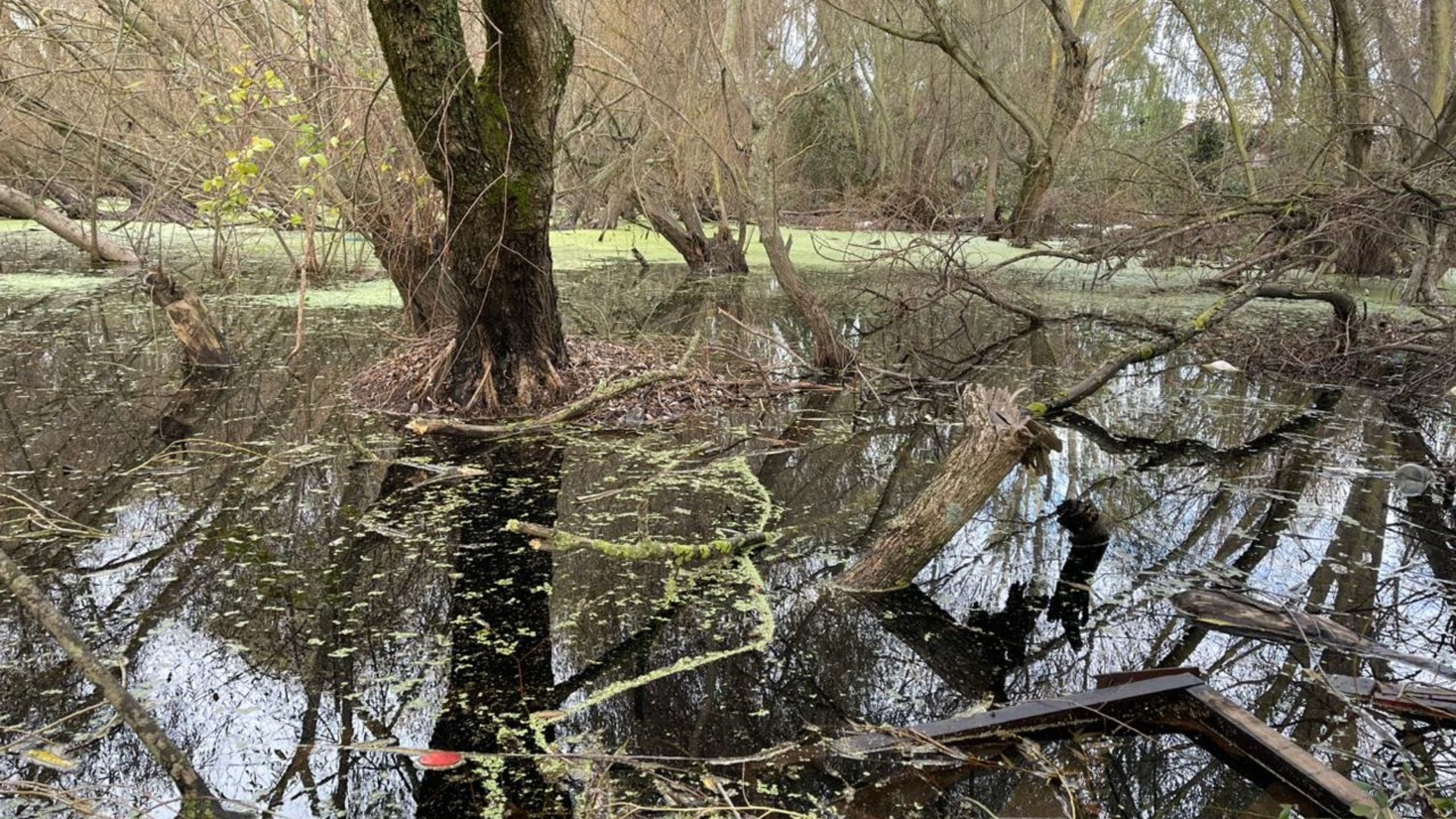 Laguna del Cerro Chepe