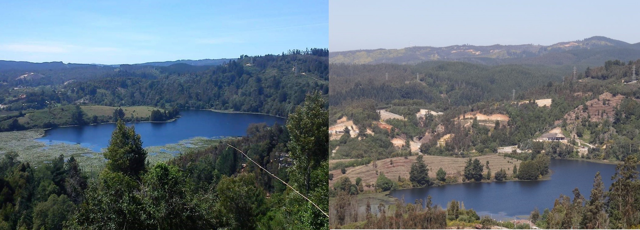 Afectación Lagunas de Concepción