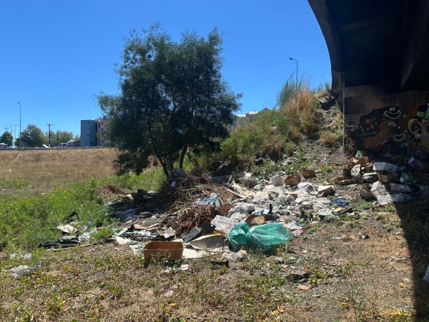 Costanera Concepción