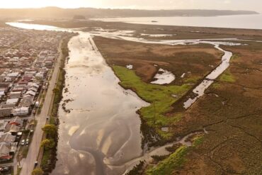 Humedal Rocuant-Andalién