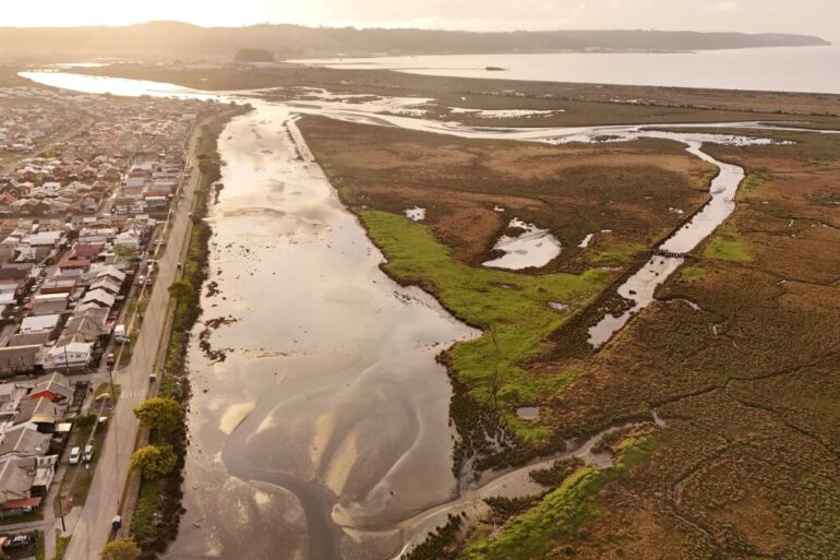 Humedal Rocuant-Andalién