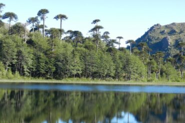 Reserva Nacional Altos de Pemehue
