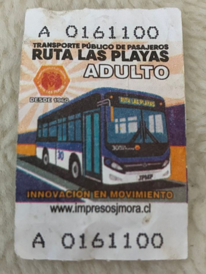 Boleto adulto línea 30 Ruta Las Playas
