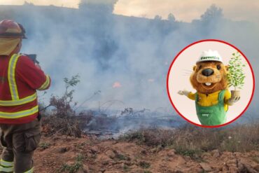 Conaf quemas autorizadas