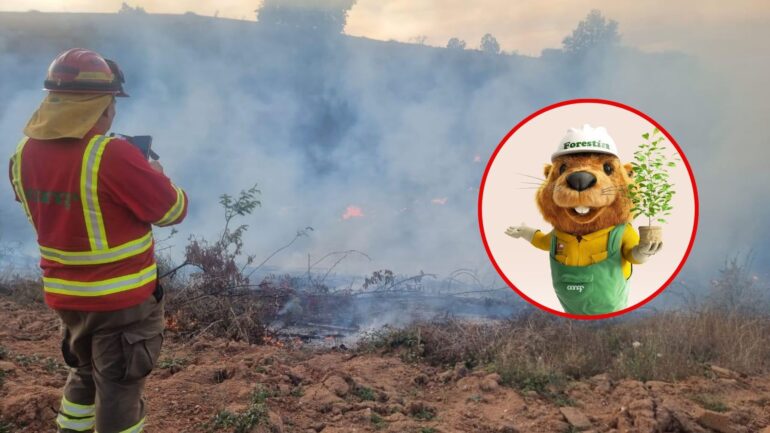 Conaf quemas autorizadas