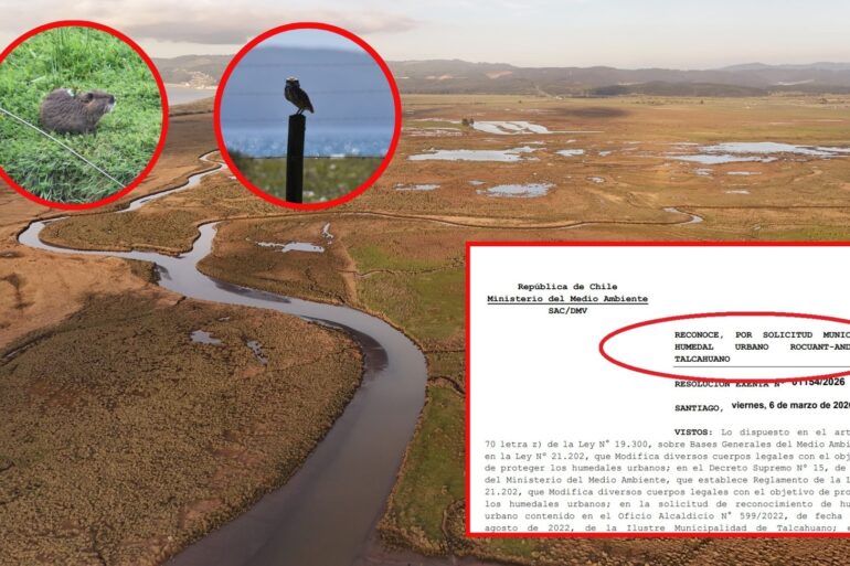 Humedal Rocuant Andalién