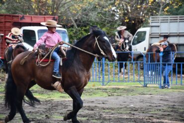 Fiesta de la Vendimia