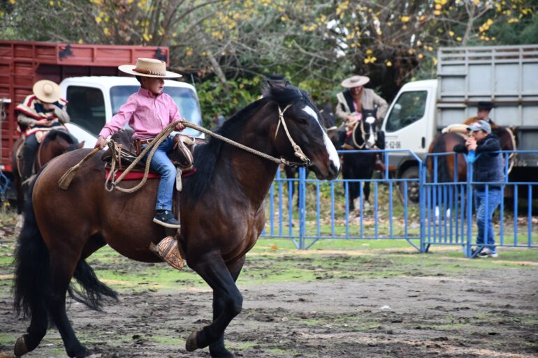 Fiesta de la Vendimia