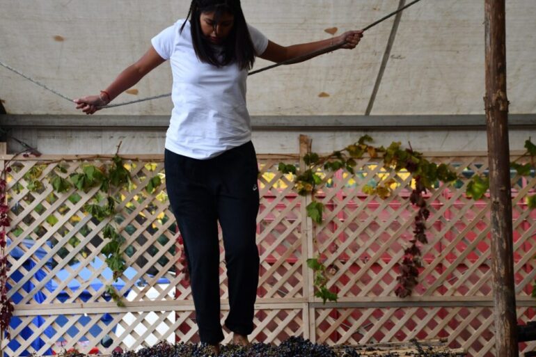 XV Fiesta de la Vendimia Río Claro Yumbel