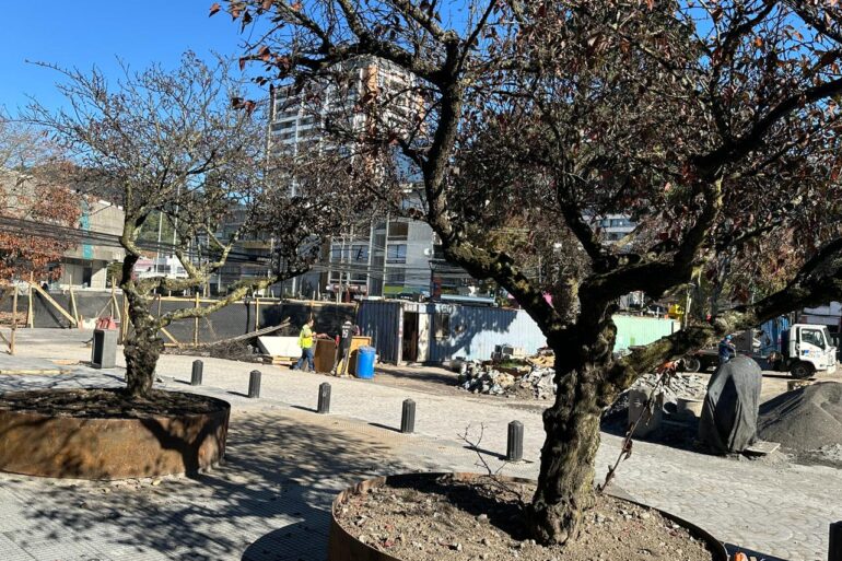 Árboles Plaza