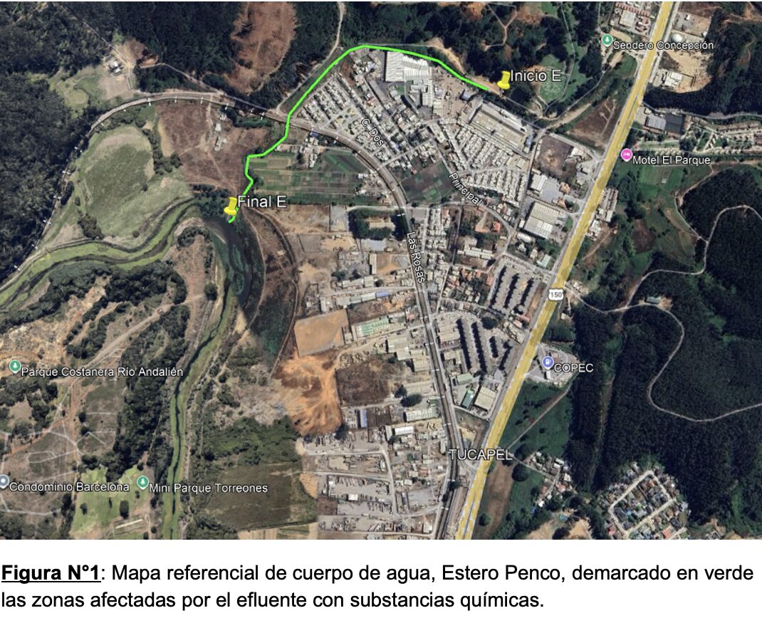 estero Cosmito