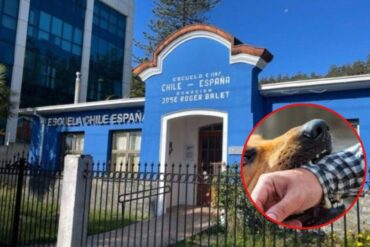 Escuela Chile España