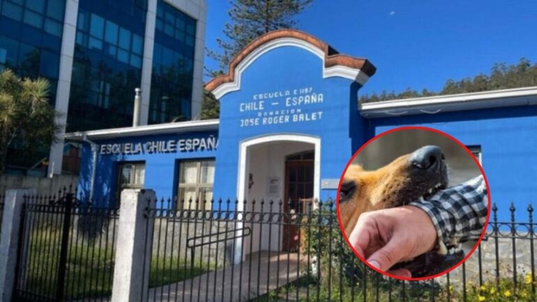 Escuela Chile España