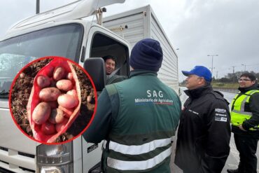 Papas SAG