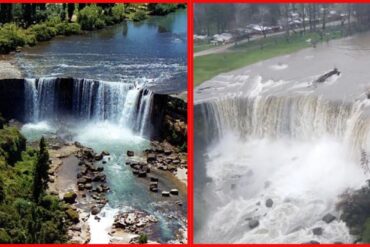 Saltos del Laja