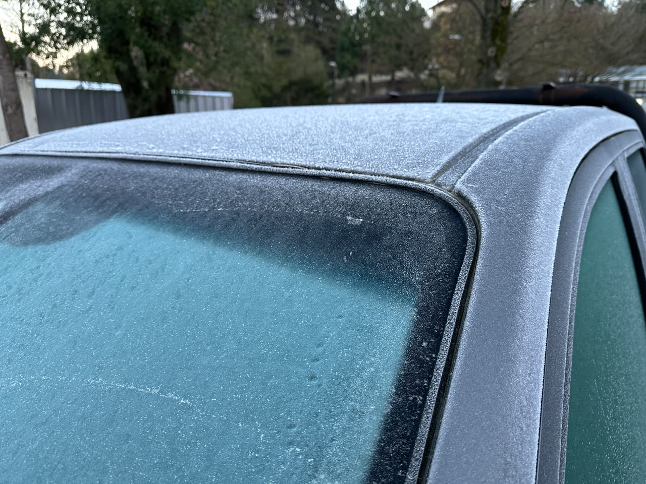 Bajas temperaturas