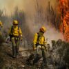 Brigadista forestal