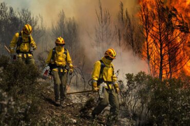 Brigadista forestal