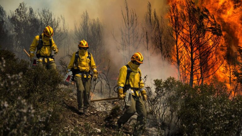 Brigadista forestal