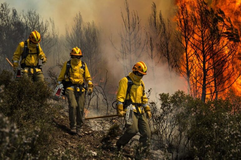 Brigadista forestal