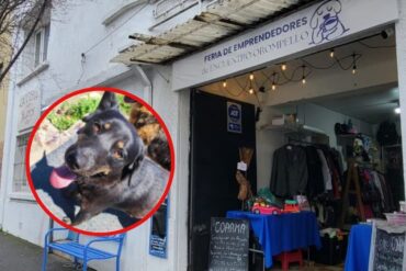 Venta COAAMA
