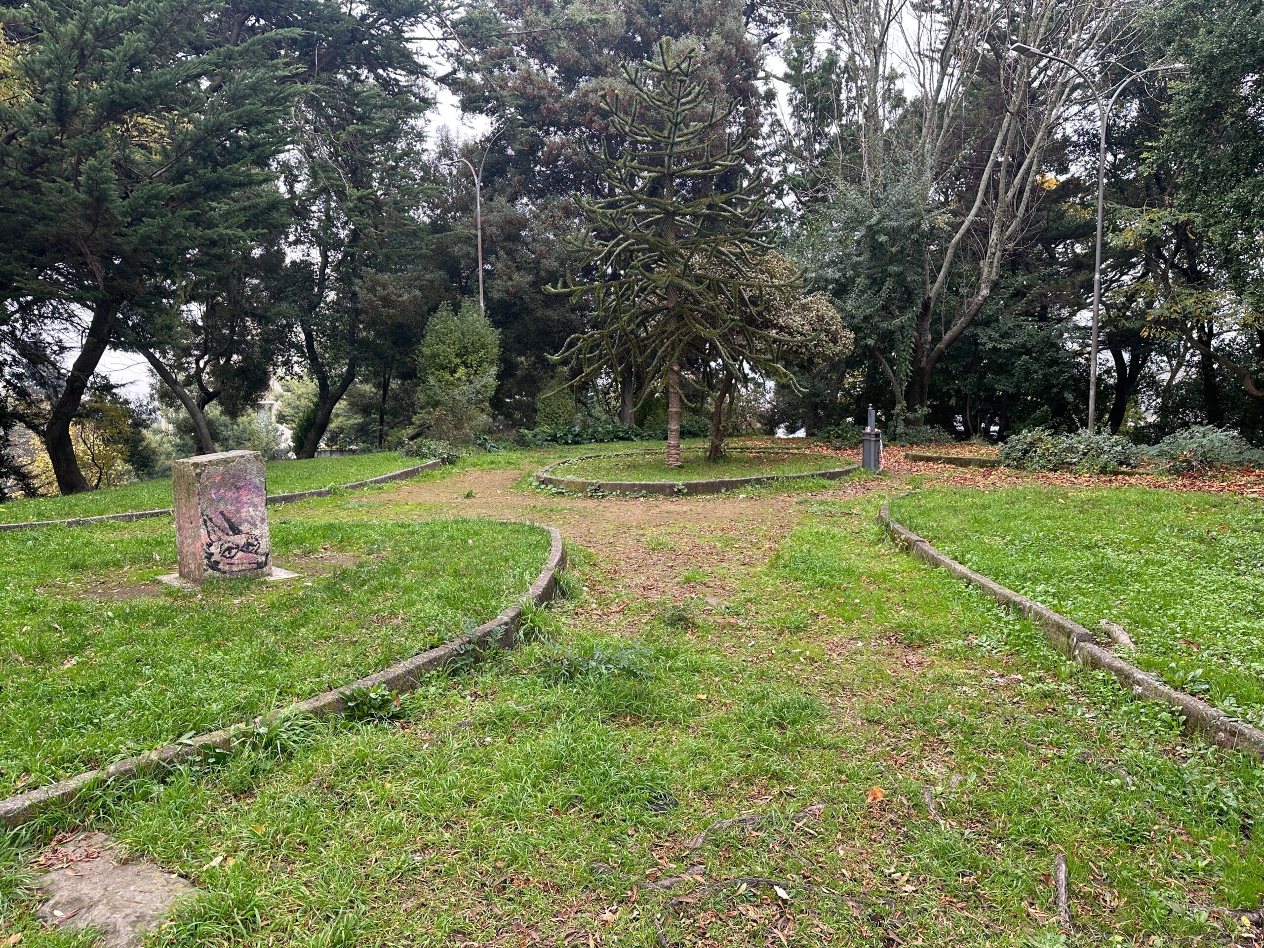 Cerro Amarillo