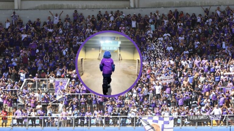 Deportes Concepción