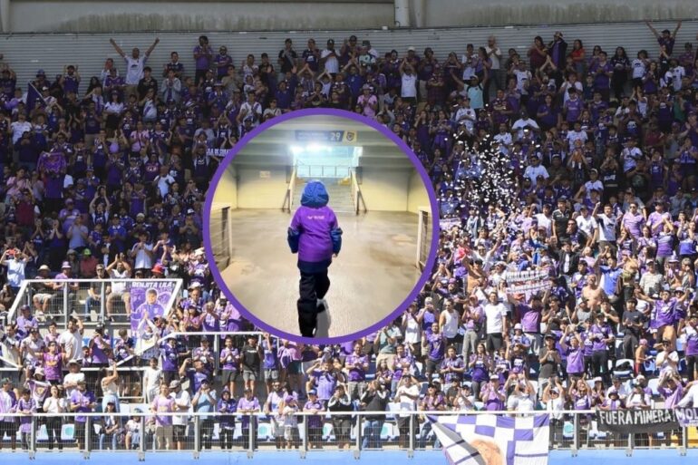 Deportes Concepción