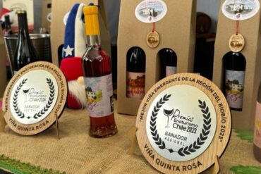 Día Nacional del Vino Chileno Yumbel