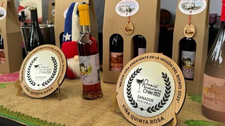 Día Nacional del Vino Chileno Yumbel