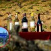 Día del Vino