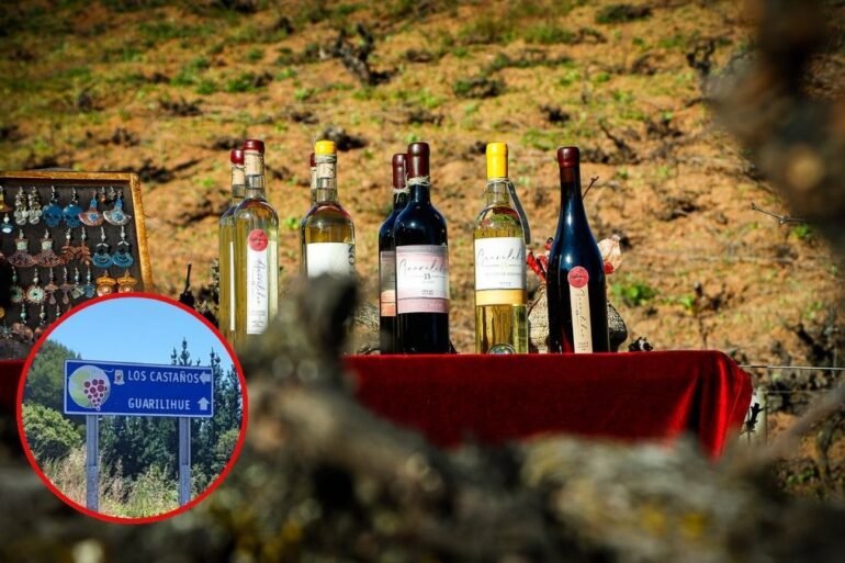 Día del Vino