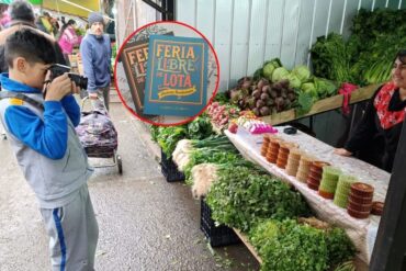 Feria de Lota