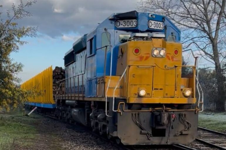 Locomotora D-3003 Transap servicio Nacimiento Rapaco