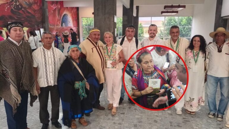 Cumbre mundial naciones originarias