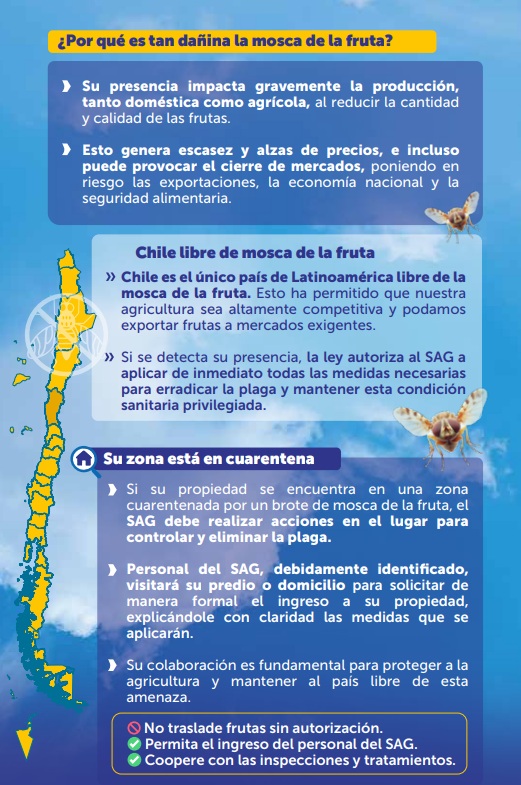 Mosca de la Fruta
